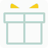 Code 555WIM